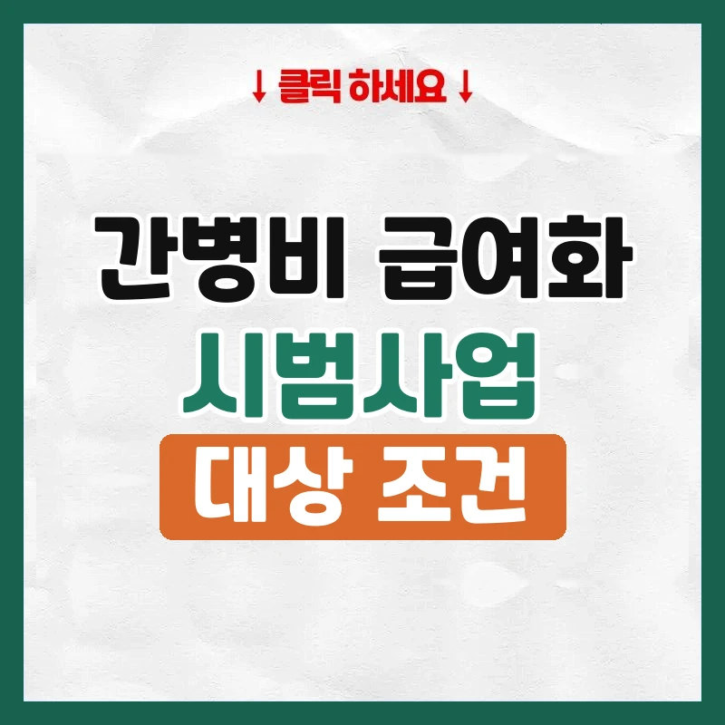 간병비 급여화